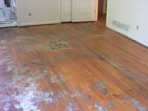 floorb2lr.jpg