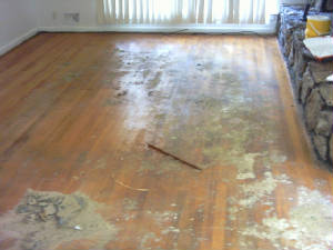 floorb3lr.jpg